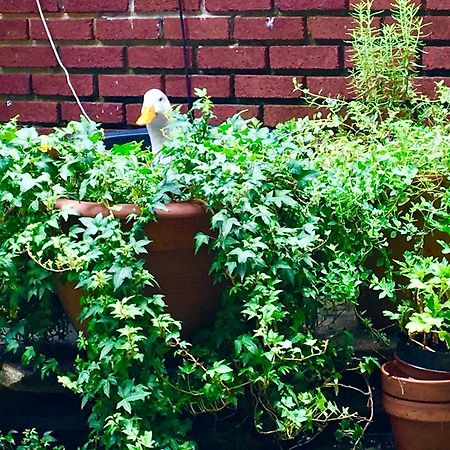 Inman Park Bed And Breakfast アトランタ エクステリア 写真
