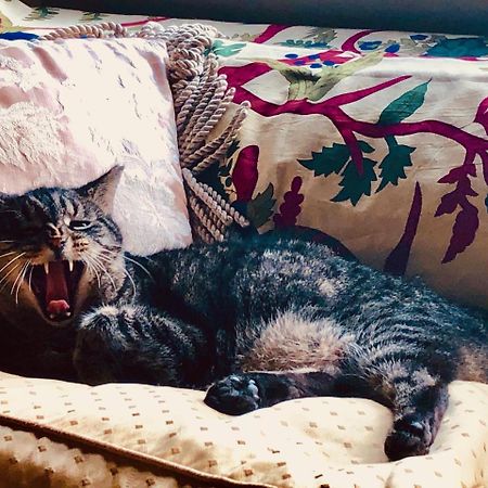 Inman Park Bed And Breakfast アトランタ エクステリア 写真