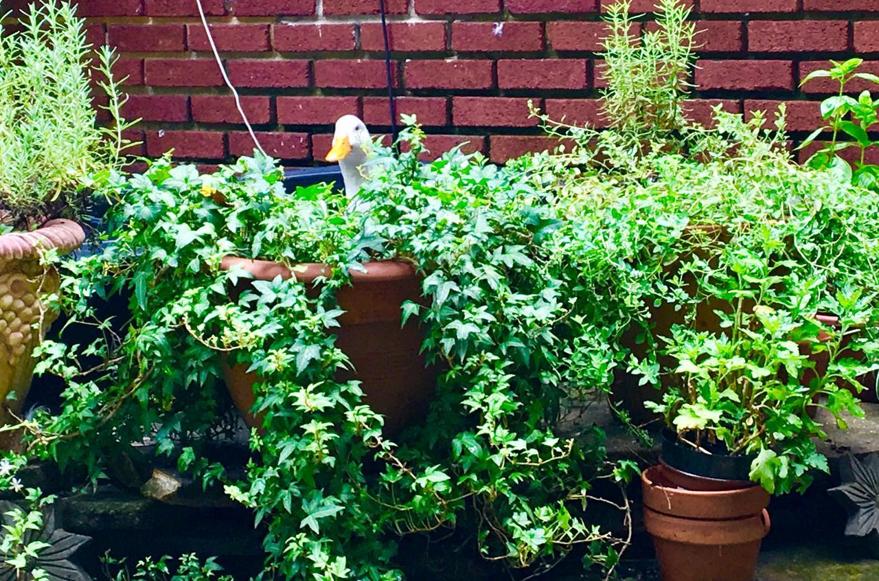 Inman Park Bed And Breakfast アトランタ エクステリア 写真