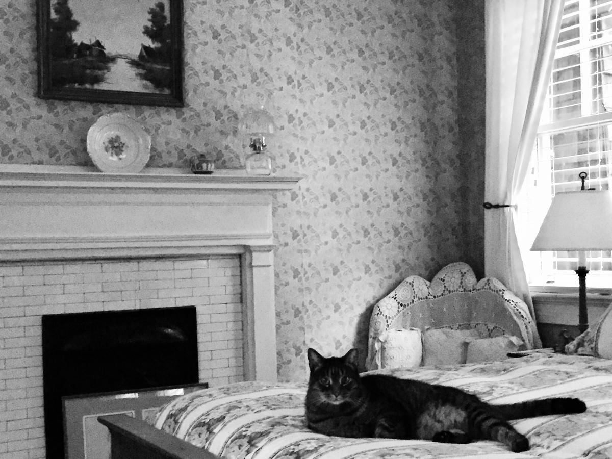 Inman Park Bed And Breakfast アトランタ エクステリア 写真