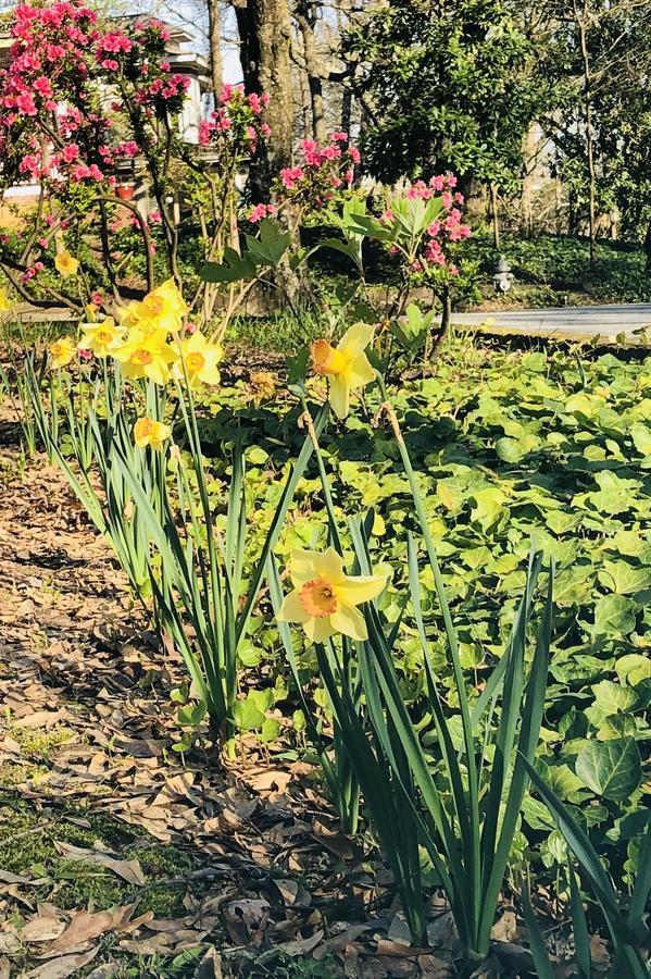 Inman Park Bed And Breakfast アトランタ エクステリア 写真