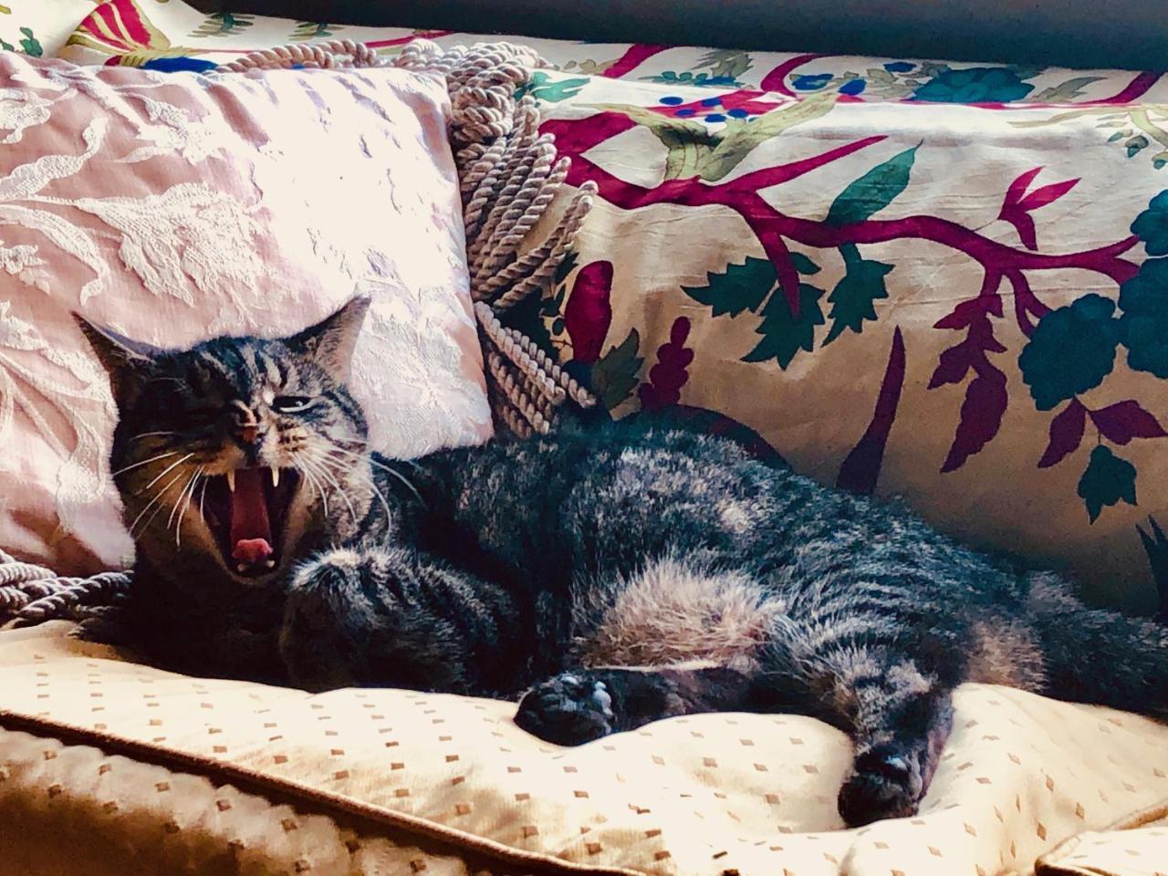Inman Park Bed And Breakfast アトランタ エクステリア 写真
